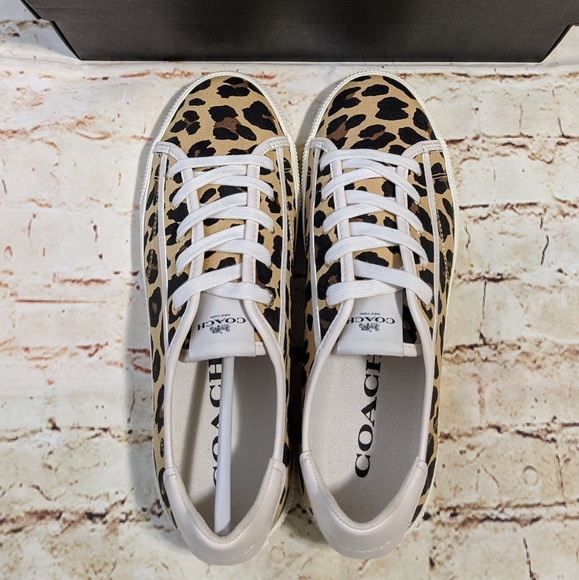 🆕 SALE Coach Leopard Low Top Sneakers - Picture 7 of 8